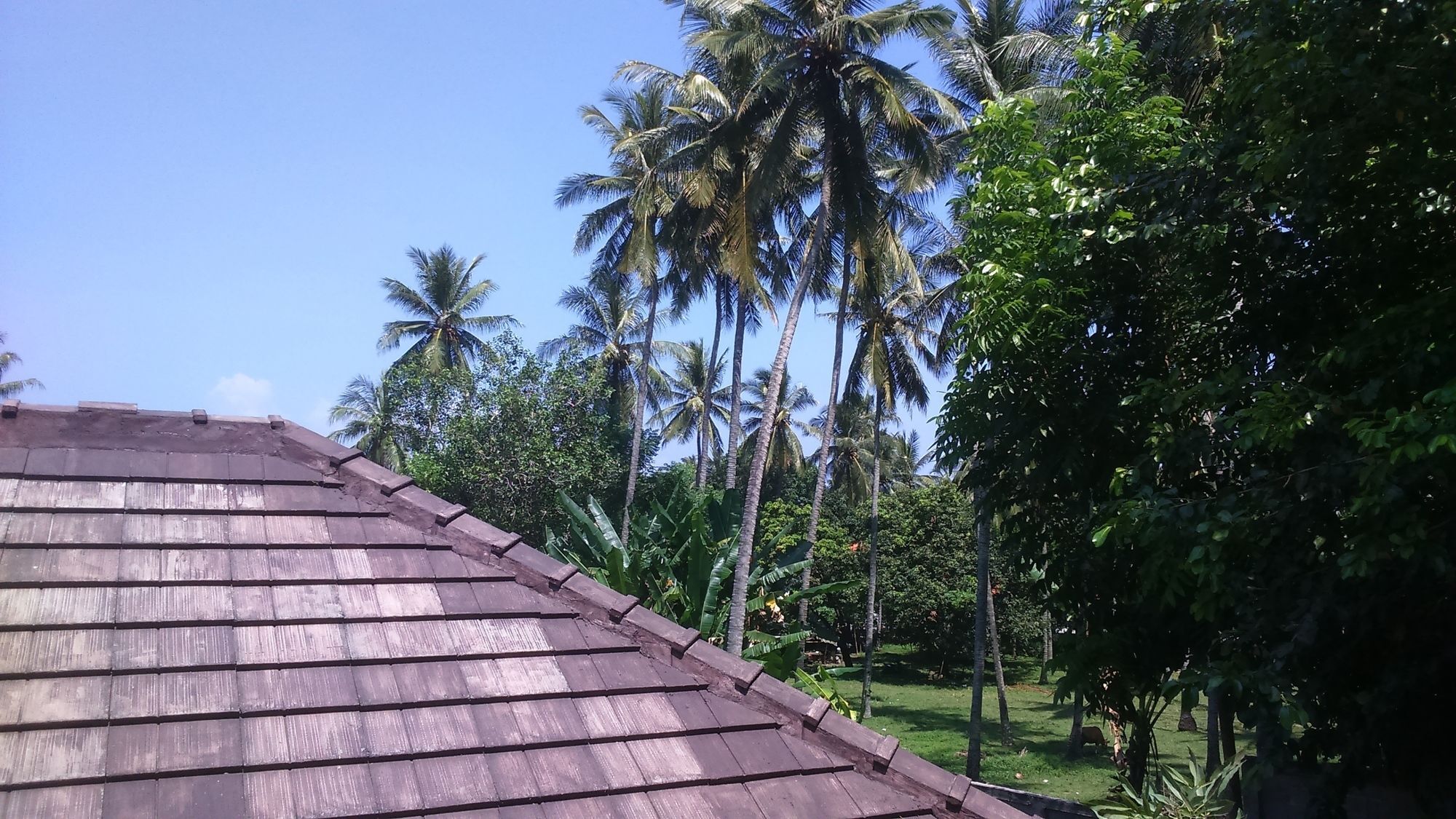 Senggigi Cottages Lombok Buitenkant foto