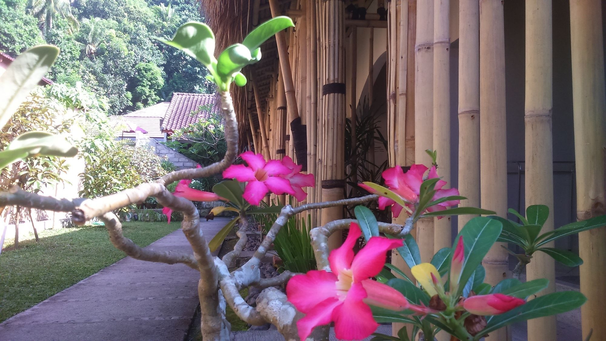 Senggigi Cottages Lombok Buitenkant foto
